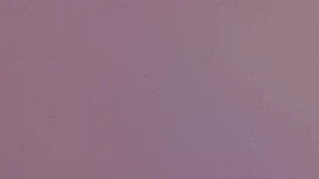 ParisFox_'s cam snapshot