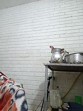 valeriaswang_Lucas's cam snapshot