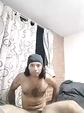 kauffmann's cam snapshot