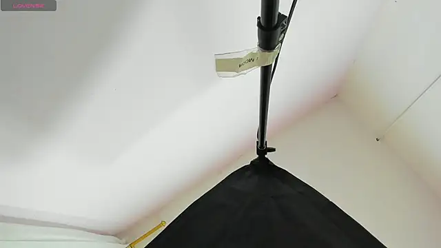 denisetip's cam snapshot