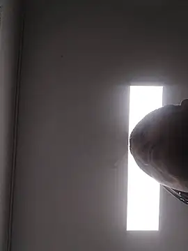 danigarci2307 live sex cam