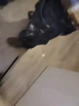 Cnutt310's cam snapshot