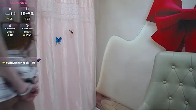 Leiershery's cam snapshot