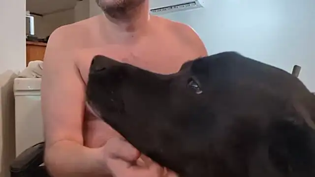 Greyd333 live sex cam