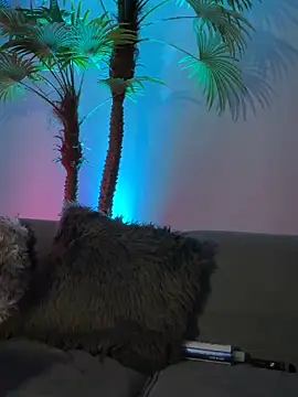 Wetkymistry's cam snapshot