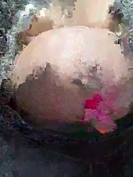 -Harper-'s cam snapshot