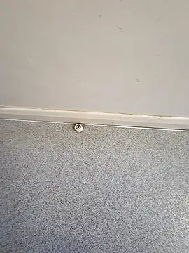 YoungAsainWithATrunk's cam snapshot