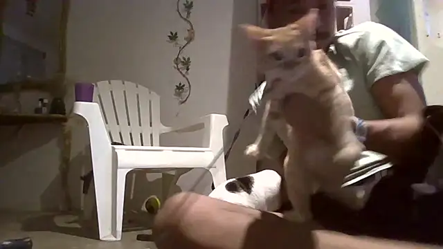 miguelgomher live sex cam