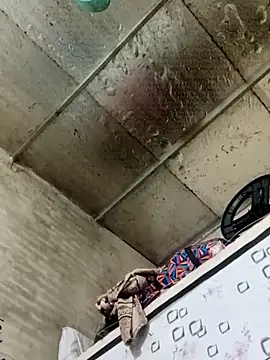 Sana-vn's cam snapshot