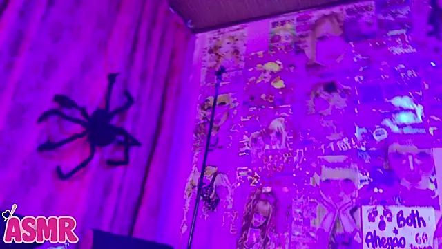 LaytonBox's cam snapshot