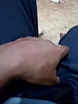 dolphiinn's cam snapshot