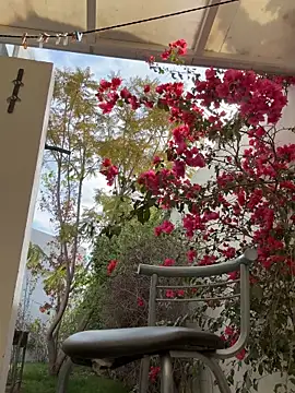 Gipsyboysteve live sex cam