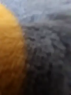 Boyshow88's cam snapshot