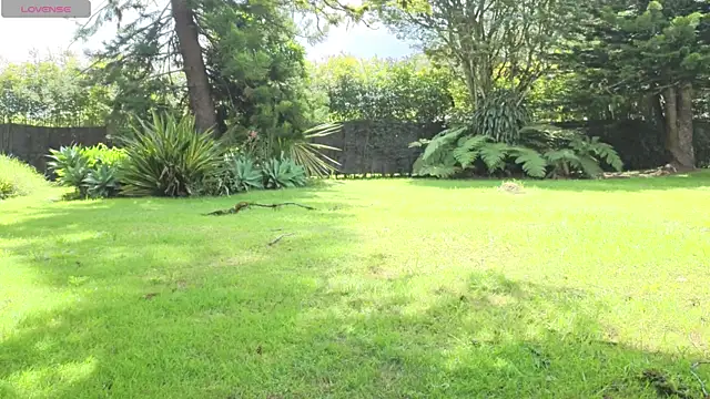 Matt_Swett live sex cam