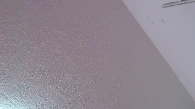 adara_cute_69's cam snapshot