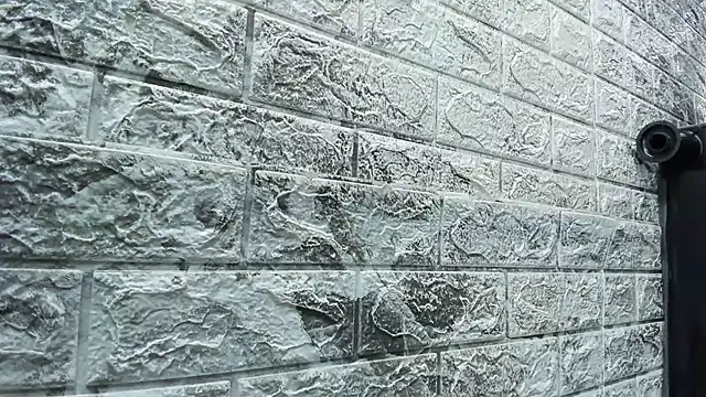 Meriland_HH's cam snapshot