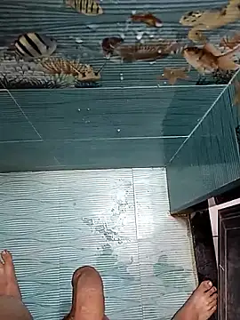 FloweredShallow live sex cam