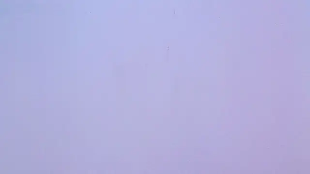 Eda_Bonne's cam snapshot