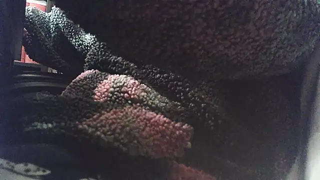 swuosh's cam snapshot