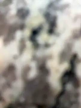 Lolathebaddie's cam snapshot