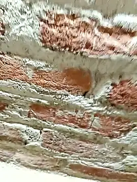 Rajni_chauhan's cam snapshot