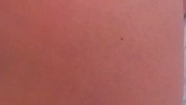 BrendaFernandez_'s cam snapshot