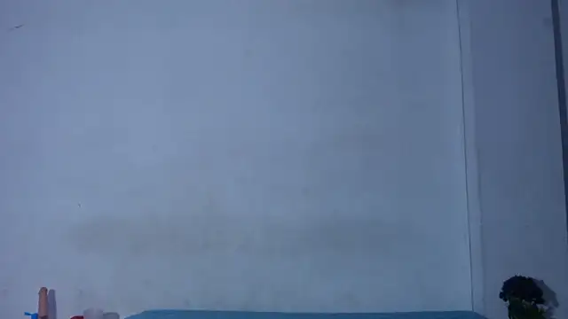 onixandghosty1 live sex cam