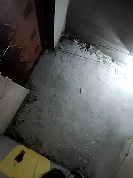 Gautami-telugu's cam snapshot