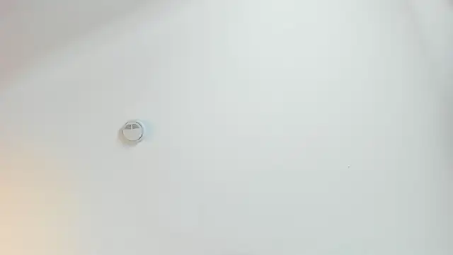 Angelina_Roa live sex cam