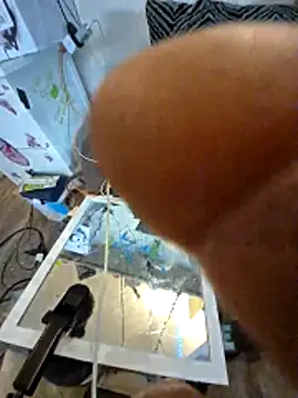 lit702's cam snapshot