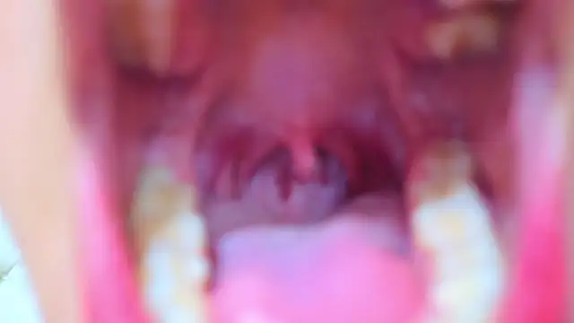 Malia_fox's cam snapshot