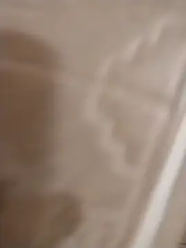 Bigdickdaddy3024's cam snapshot