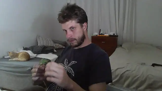 prorafadodoce live sex cam