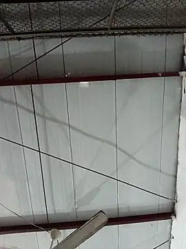 MonasticCanine live sex cam