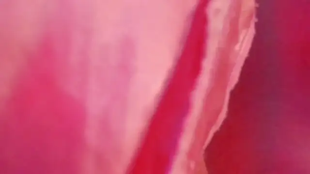 gabriella_ortiz's cam snapshot