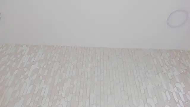 alanismorgan's cam snapshot