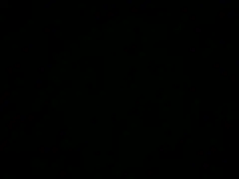 Emacollins_'s cam snapshot