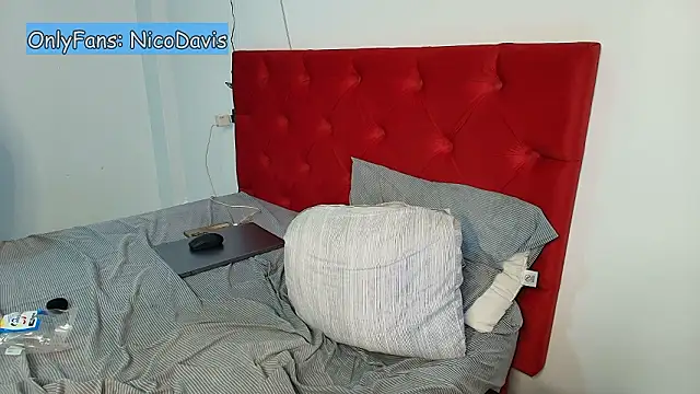 NicoDavisOfficial's cam snapshot