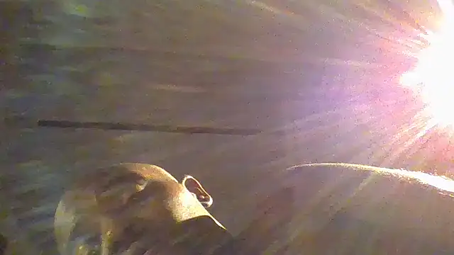 JezOne555's cam snapshot