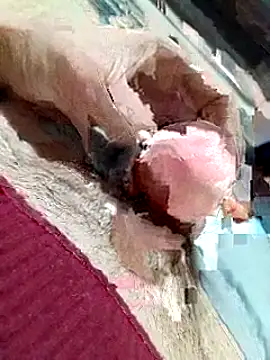 Playman_19 live sex cam