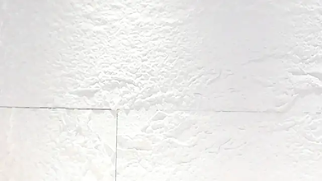 sarah_salis_'s cam snapshot