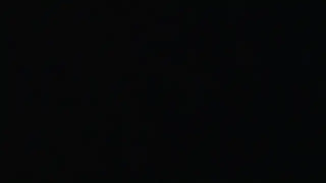 PaulDamico live sex cam