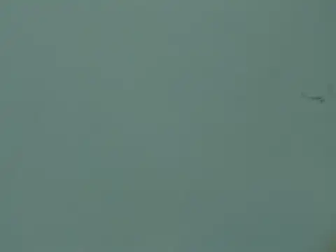 eemma_99's cam snapshot