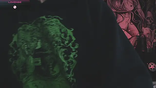 Silentmary's cam snapshot