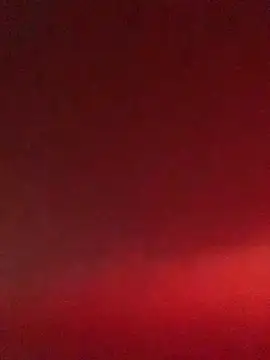 foxy_zi live sex cam