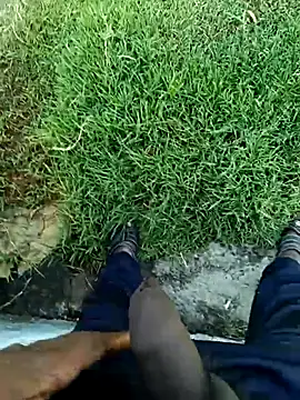 dolphiinn live sex cam