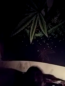 ySqmbVanbe live sex cam