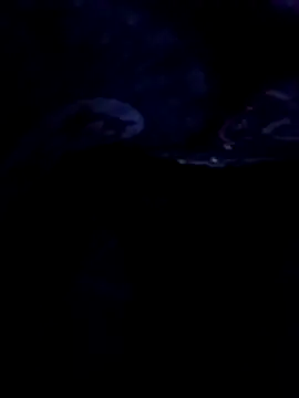 Elbayda live sex cam