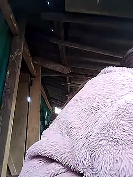 feli-00's cam snapshot