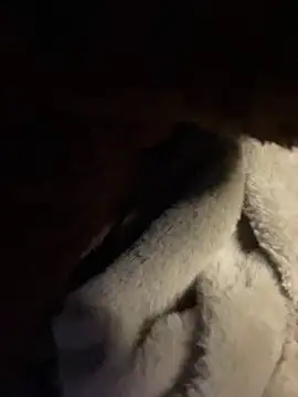 hello-cute's cam snapshot